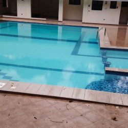 Swimming Pool- Tawa